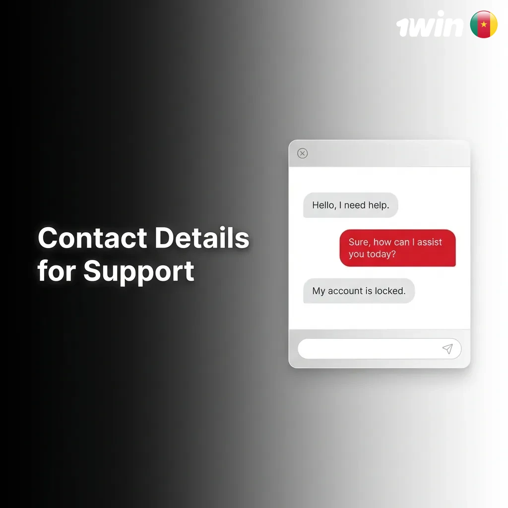 24/7 customer support contact options including live chat, email, Telegram, phone hotline, and social media channels